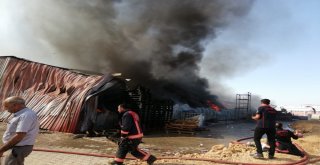 Malatyada Bir Ambalaj Fabrikasında Yangın Çıktı. Bölgeye Çok Sayıda İtfaiye Ekibi Sevk Edildi.