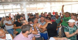 Mersinde Balık Çiftliklerine Düdüklü Protesto