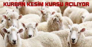 Kumlucada Kurban Kesim Kursu Açılacak