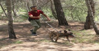 Kayıp Üniversiteli Gencin Cesedini Kadavra Köpeği Melo Buldu