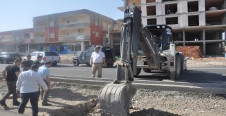 Başkan Vekili Işıktaş Çalışmaları Denetledi