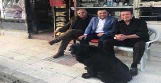 Mahallenin Maskotu Köpek İçin Taziye Köşesi Yaptılar