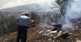 Torbalı Kaymakamı Orman Yangınındaki Acı Bilançoyu Açıkladı