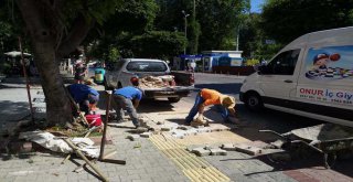 ASAT'TAN ALANYA'DA PARKE BAKIM VE ONARIMI