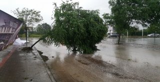 Düzcede Fırtına Ve Yağış Bir Anda Bastırdı, Ortalık Savaş Alanına Döndü