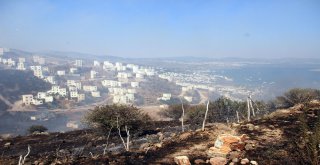 Bodrumda Çıkan Yangın Tatil Sitelerine Sıçradı