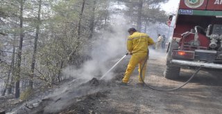 Amanoslardaki Orman Yangınını Soğutma Çalışması Sürüyor