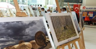 Tarım Ve İnsan” Konulu Fotoğraflar Balıkesirde Sergilendi