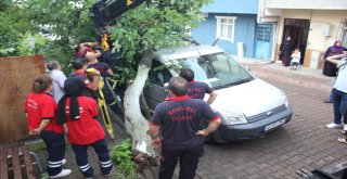 Kökü Çürüyen Ağaç, Park Halindeki Hafif Ticari Aracın Üzerine Devrildi