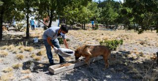 BAŞKAN YAVAŞ İNCİ ANNE'NİN ÇAĞRISINA KULAK VERDİ