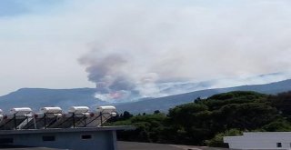 Torbalıda Yangın Var, Kuşadasına Kül Yağıyor