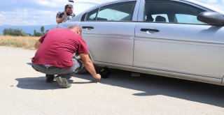 Otomobilin Altına Giren Yılan İçin Seferberlik