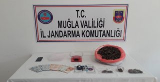 Milasta Uyuşturucu Operasyonu