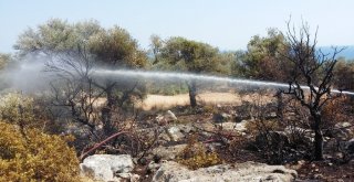 Antalyada Antik Kent Yakınında Çıkan Yangın Korkuttu