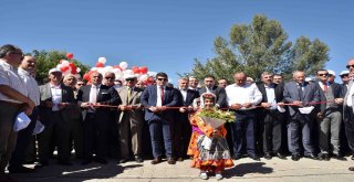 Taşköprüde Dünyaca Ünlü Sarımsağın Festivali Başladı