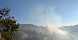 Adanada Yangında 2 Hektarlık Orman Zarar Gördü