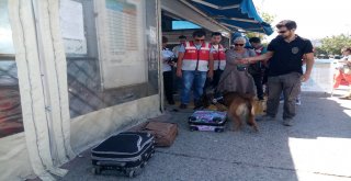 İstanbul Polisi Bayram Öncesi Asayiş Uygulamalarını Artırdı