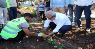 Halilyede Parklar Çiçeklerle Donatılıyor