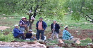 Siirtte Sıcaklardan Bunalanlar Kaleye Kaçtı