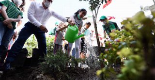 Beyoğlu Mahalle Bahçeleri'ne Bir Bir Kavuşuyor