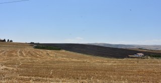 Kırıkkalede Çıkan Anız Yangını Evlere Sıçramadan Söndürüldü