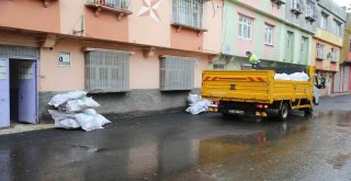 Budanan Ağaçlar Yakacak Oldu