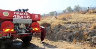 Bodrumda Çıkan Yangın Tatil Sitelerine Sıçradı