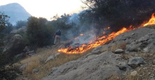 Mersinde Zeytinlik Ve Ormanlık Alanda Yangın