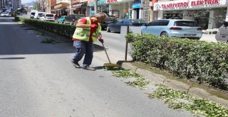 Park Ve Bahçelerin Bakımı Yapılıyor