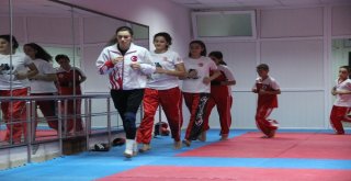 42 Madalyalı Kick Boks Kardeşliği