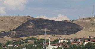 Karabükte Korkutan Anız Yangını