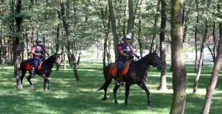 Mesire Alanlarının Güvenliği Atlı Birliğe Emanet