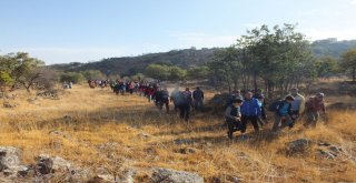 Hadak Ve Tema Vakfından Sağlıklı Yaşam Yürüyüşü