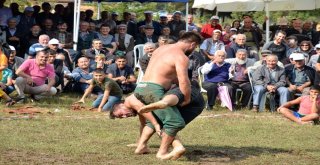 Yığılcada Bal Gibi Festival