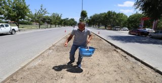 Erzincanda Yeşil Alan Miktarı Arttırılıyor