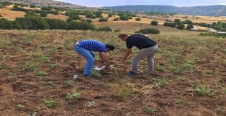 Bingölün Toprak Haritası İçin 280 Numune Alındı