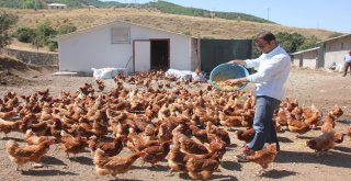 Medyada Haberlerini Gördü, Devlet Desteğiyle Çiftlik Kurdu