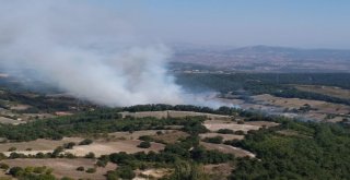 Zirai Alanda Başlayan Yangın Ormana Sıçradı