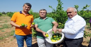 Başkandan Cezeryeli İhracatlık Limon Kesimi