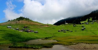 Türkiyede Huzurun Adresi; Karadeniz Yaylaları