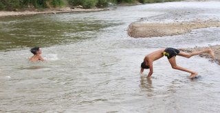 Tehlikeye Aldırış Etmeden Nehirde Yüzüyorlar