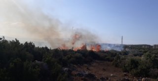 Antalyada Makilik Alanda Çıkan Yangın Korkuttu