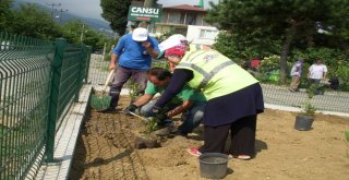 Kartepe Belediyesi Aralıksız Çalışıyor