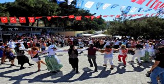 Çeşmenin Ünlü Sakız Koyunları Yarıştı