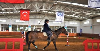 Osmanlının At Yetiştirme Merkezi Mahmudiye Eski Günlerine Dönüyor