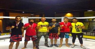 Küçükköy Spor Mma Takımı Yalovadan 2 Altın, 1 Gümüş Ve 3 Bronz Madalya İle Döndü