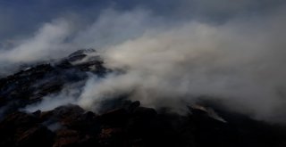 Gürpınarda Ot Yangını Korkuttu