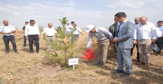 Bulanıkta 15 Temmuz Etkinlikleri Başladı