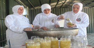 Kabak Reçeli Yapmayı Öğrendiler