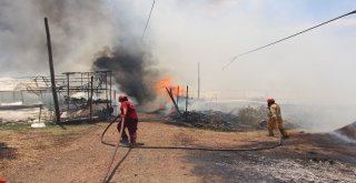 Antalyada Orman Yangını Uyarısı